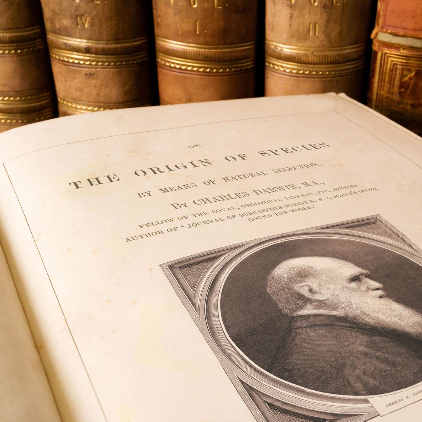 Charles Darwin and ideas of evolution