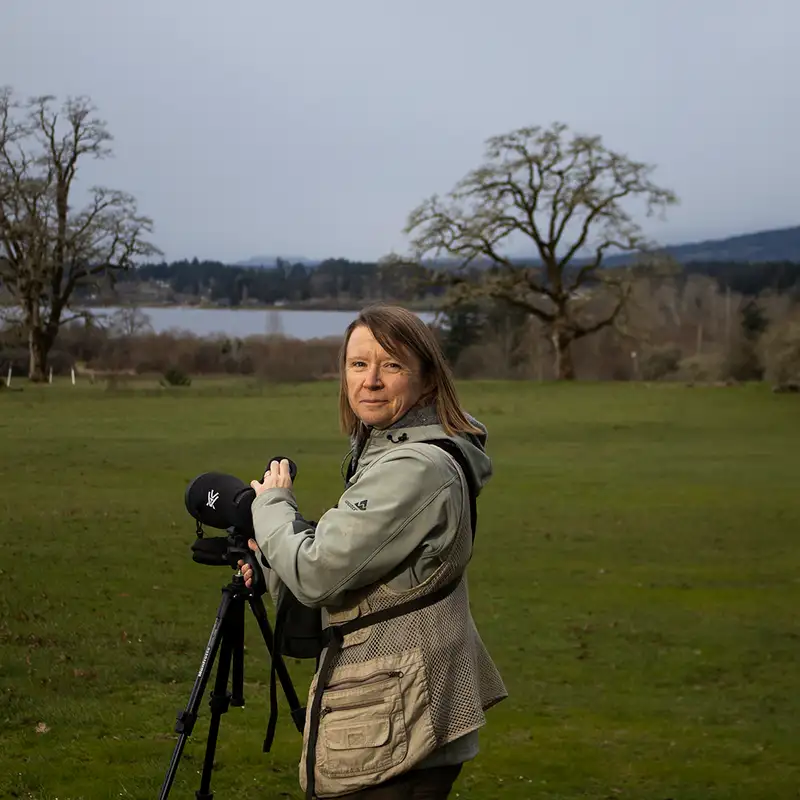 Bluebirds once flourished here, Cowichan conservation works for their return