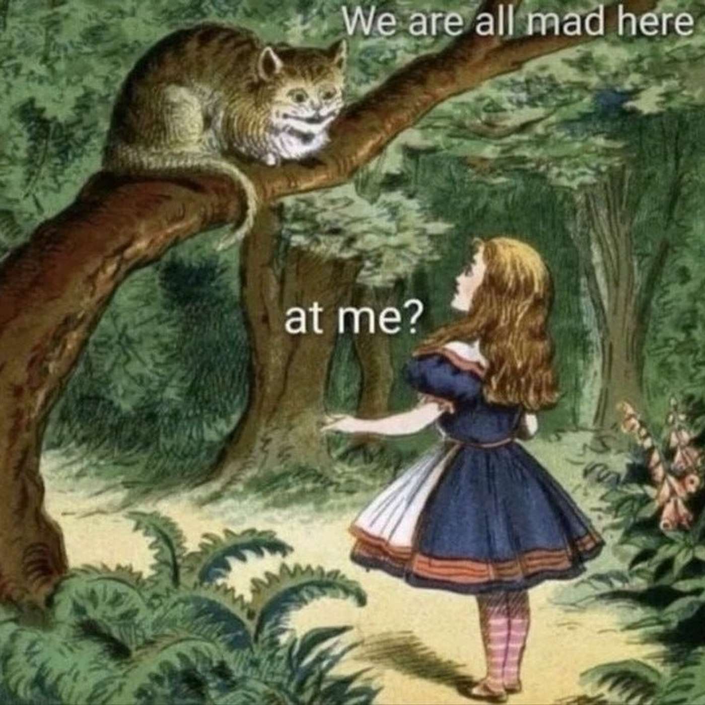 Soft, Earthen Futures