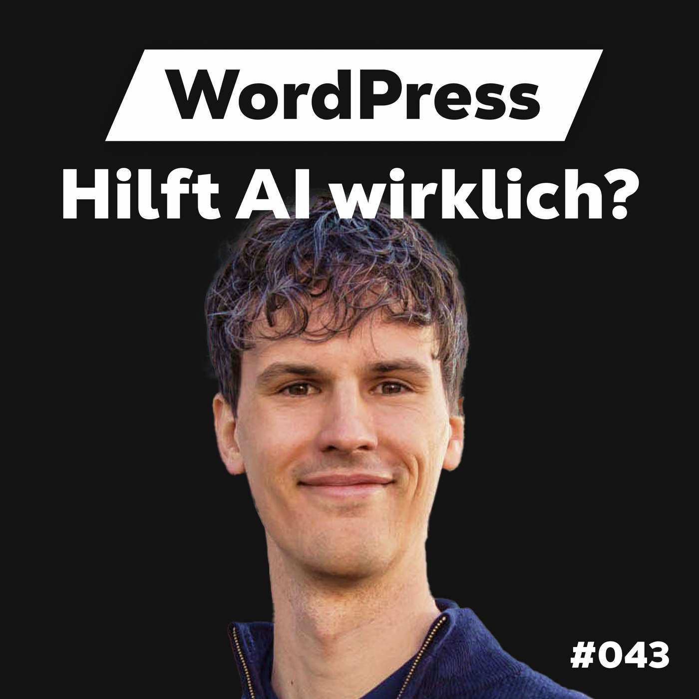 Die Dominik Liss Show (WordPress & Business Talks)