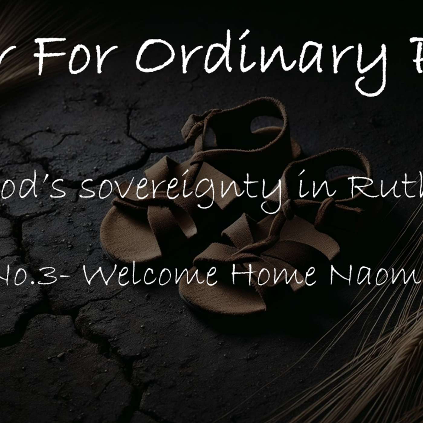 Ruth No.3- Welcome Home Naomi