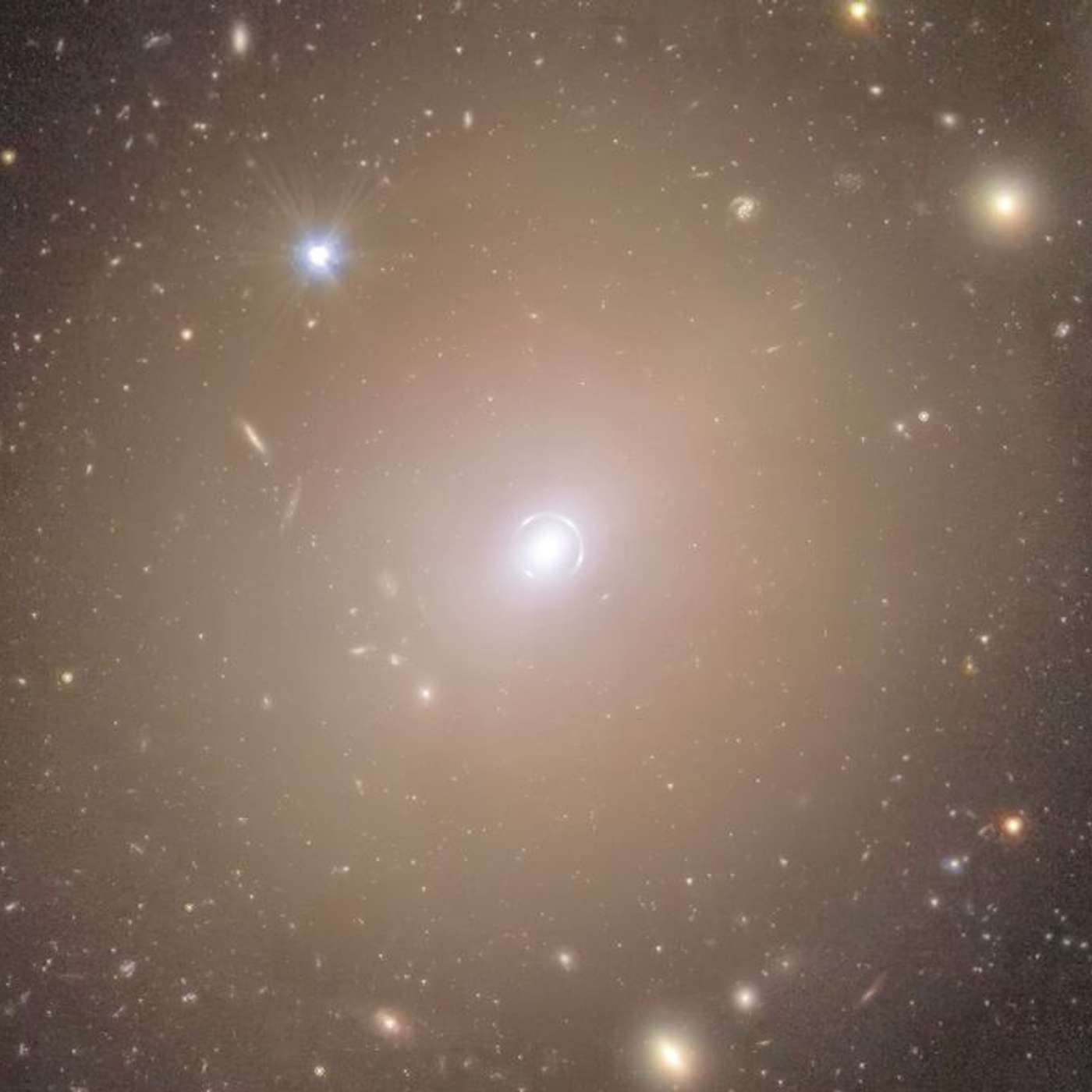 Euclid Mission Finds Einstein Ring, Study Finds Microplastics in Brain, Rare Black Wolves Discovered in Poland, Targeted mRNA Drug Delivery Breakthrough, and more...