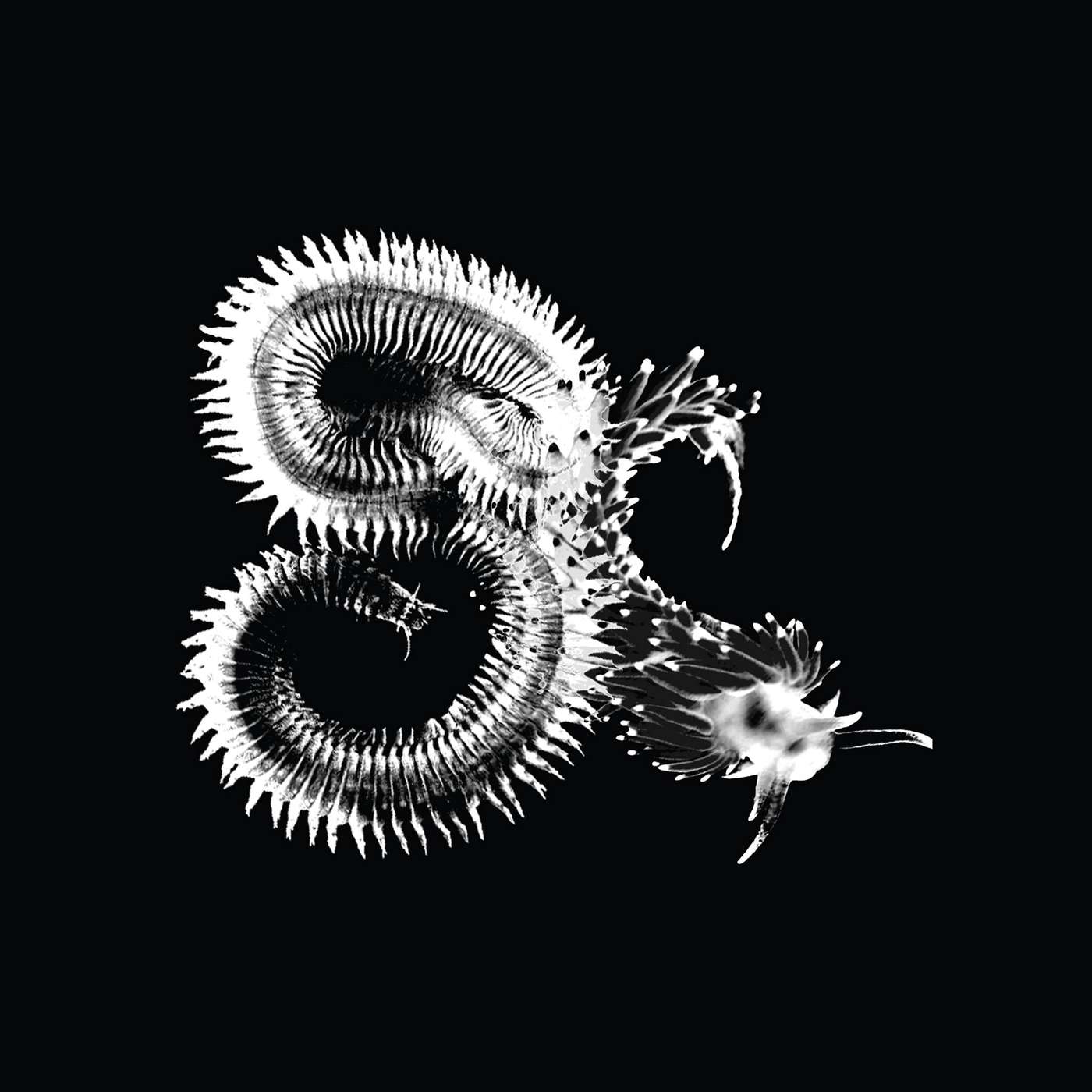 The Sursumcorda Radio Hour v2