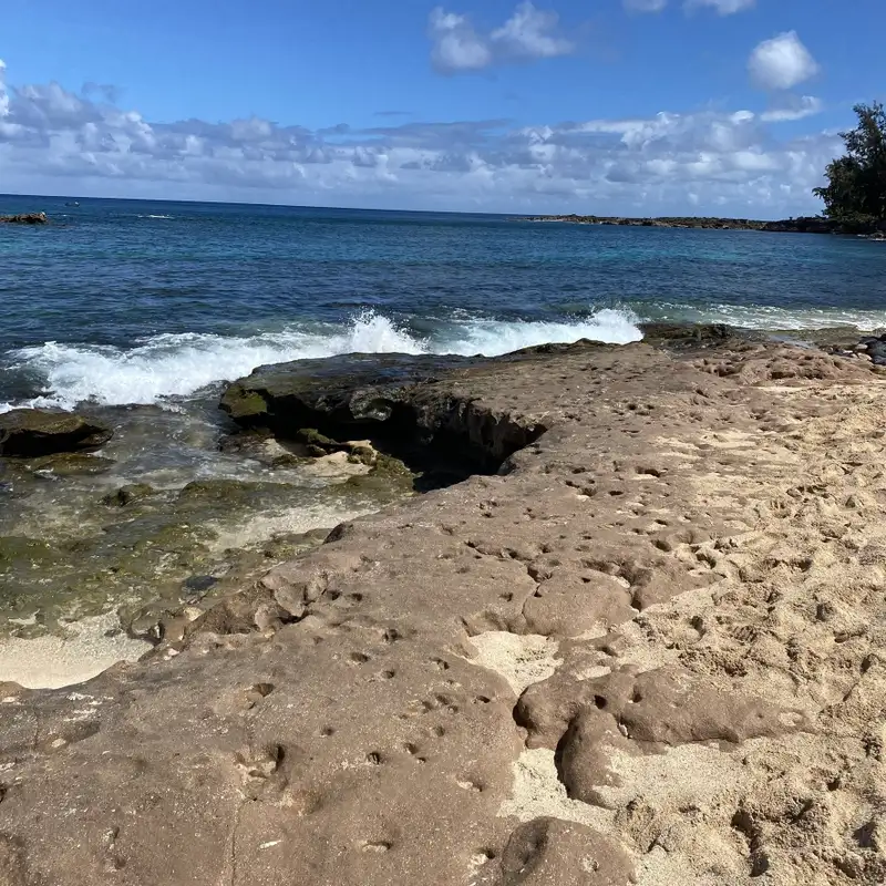 Neuro-Linguistic Programming (NLP) # 5