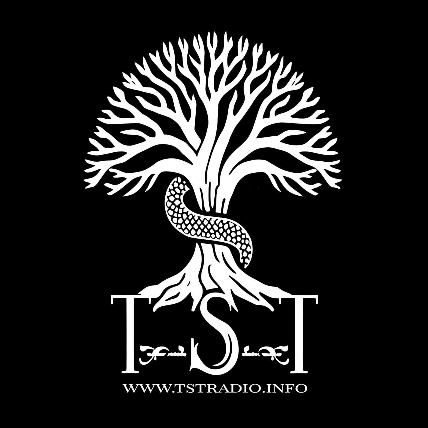 The Secret Teachings PRIVATE