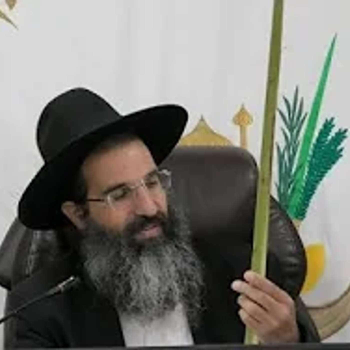 ארבעת המינים 🍋 כשרות ומחיר | הרב שי עובד | שני - פרשת האזינו - תשפו