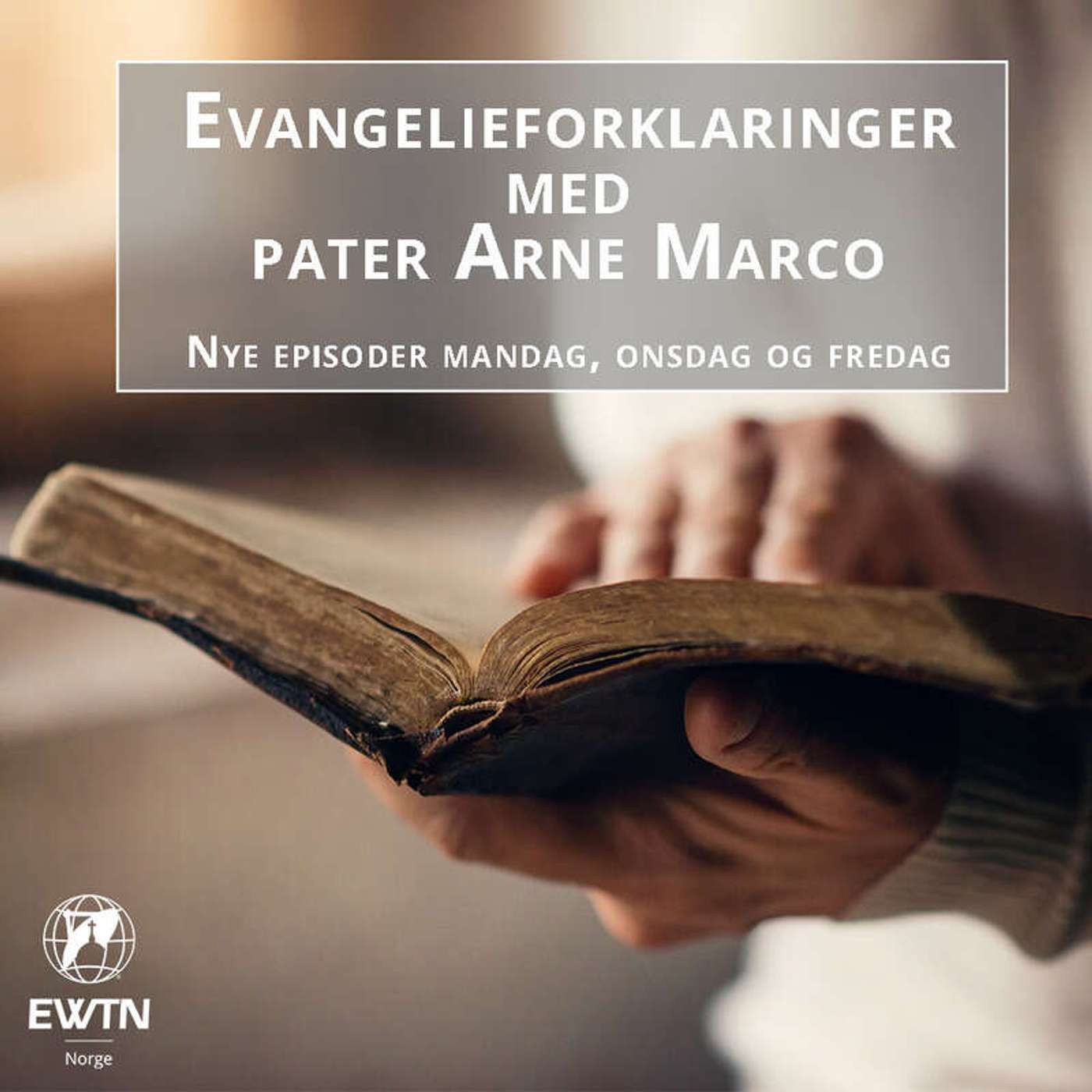 Evangelieforklaringer | Den salige Jomfru Maria, Kirkens mor episode artwork