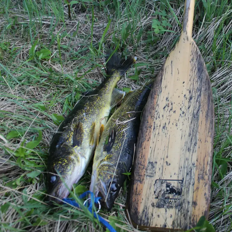 Outdoor News Podcast Talking MEA Fishing