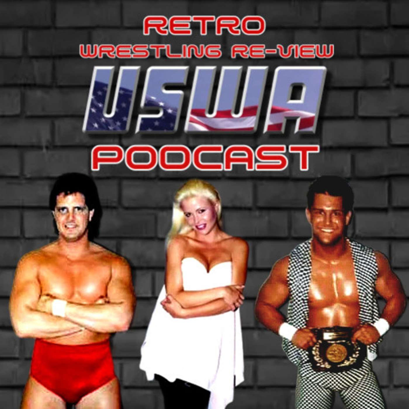 Episode #34: USWA 7/24/93 (Chris Adams Is Here To Get His Wife Back!) episode artwork