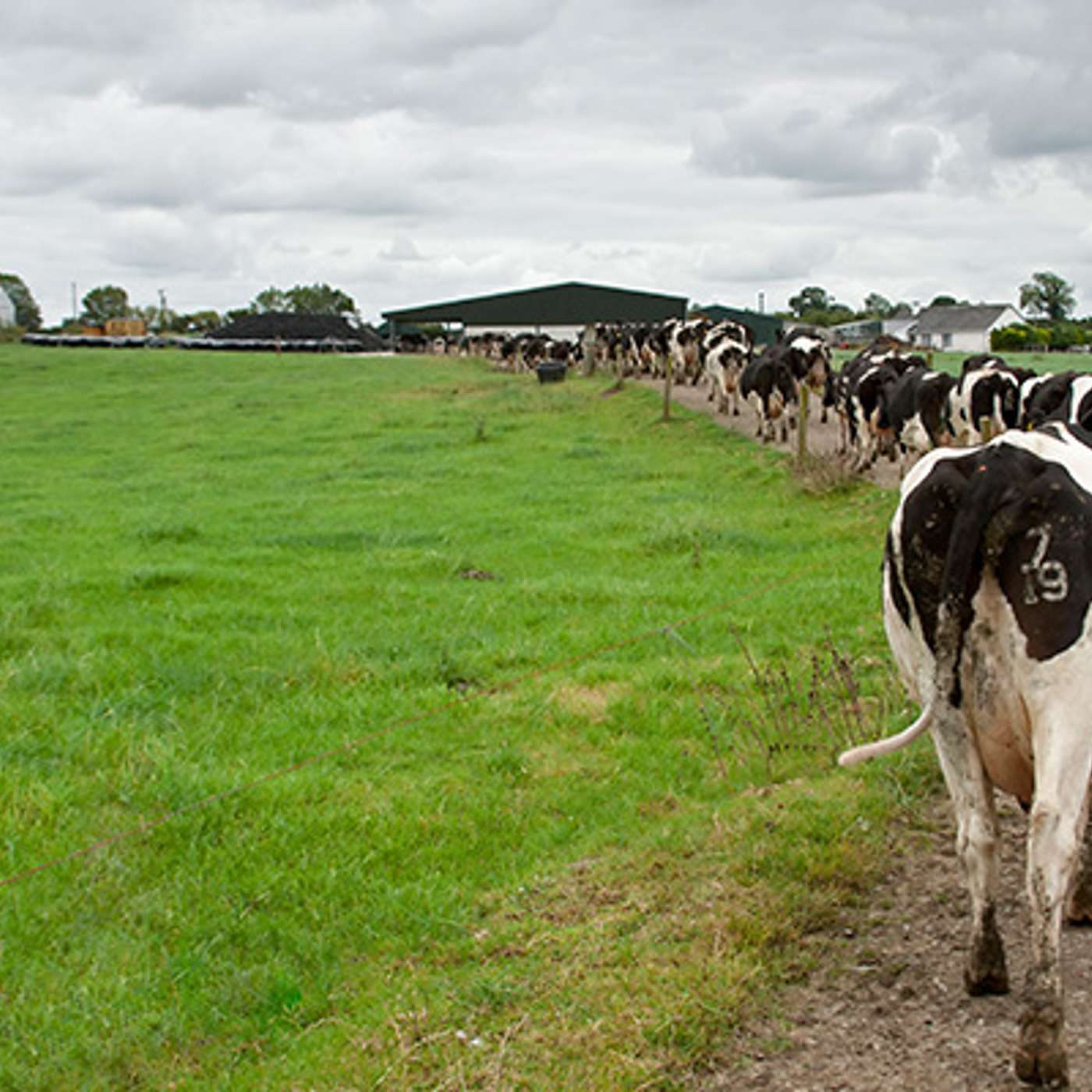 Assessing grazing infrastructure & how it can be improved