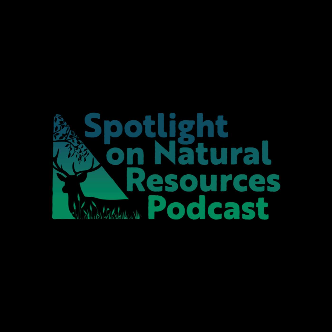 13 and 17 is Very Weird: Periodical Cicadas with Kacie Athey