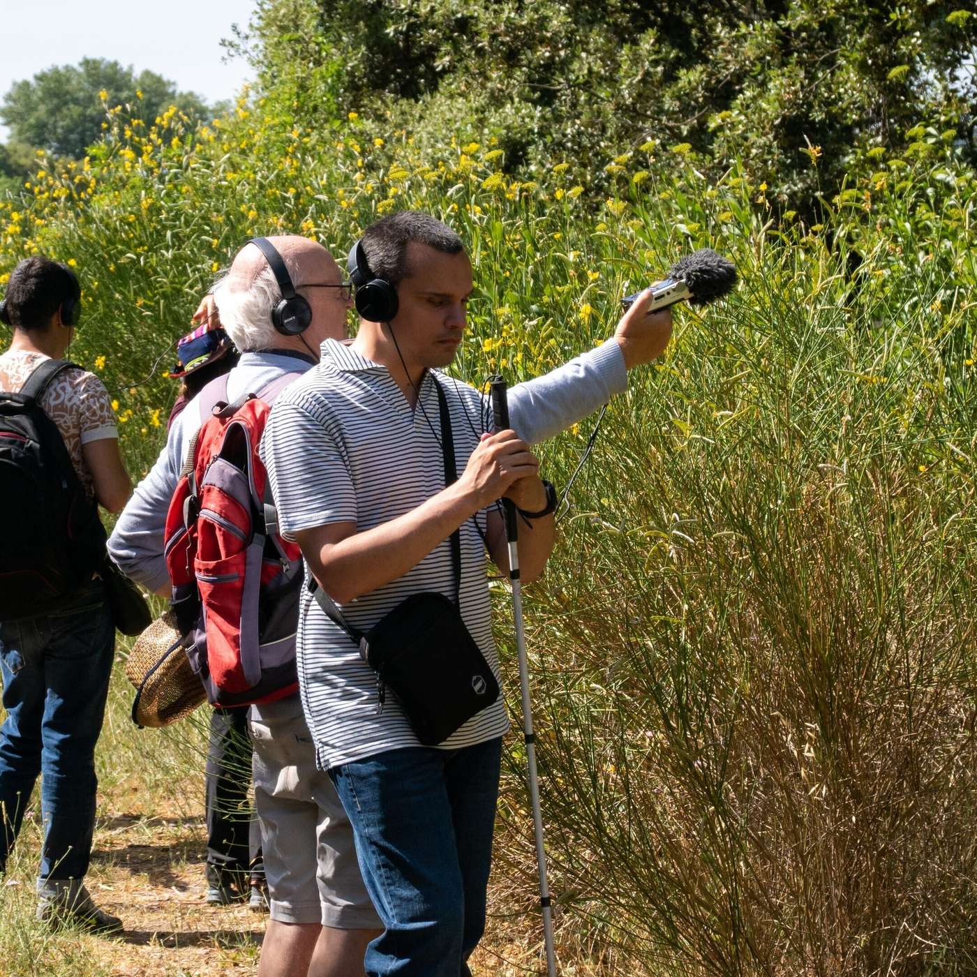 L\'Art de l\'Écoute