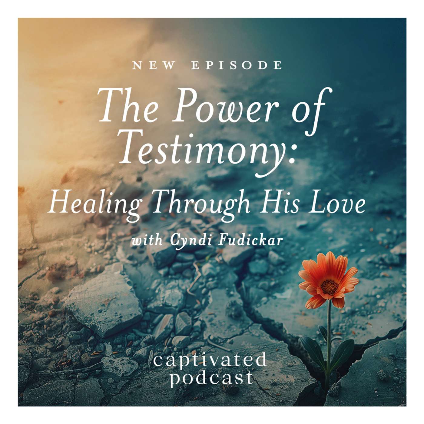 The Power of Testimony: Healing Through His Love with Cyndi Fudickar episode artwork