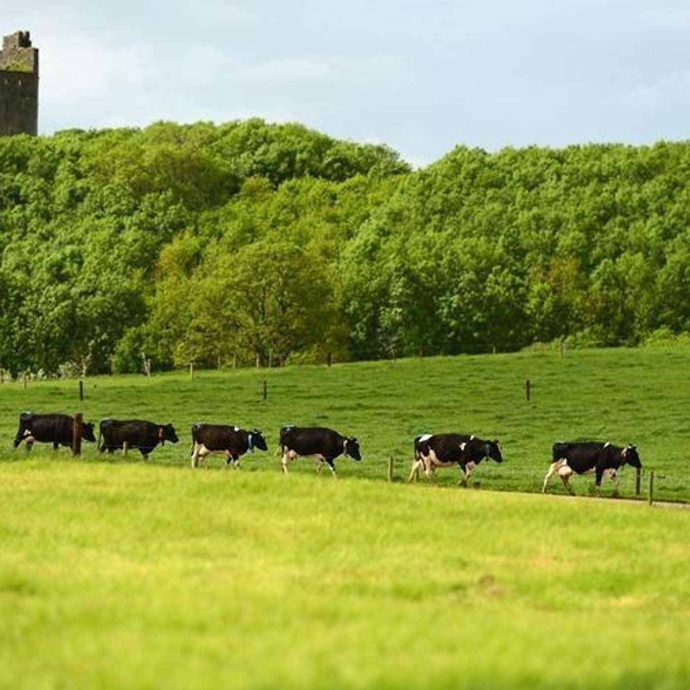 Maintaining health and wellbeing during the COVID-19 challenge