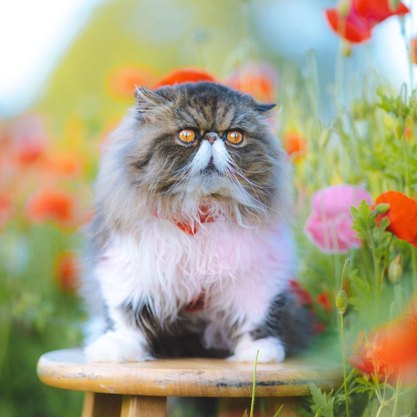 Nature and Science 4 Kids