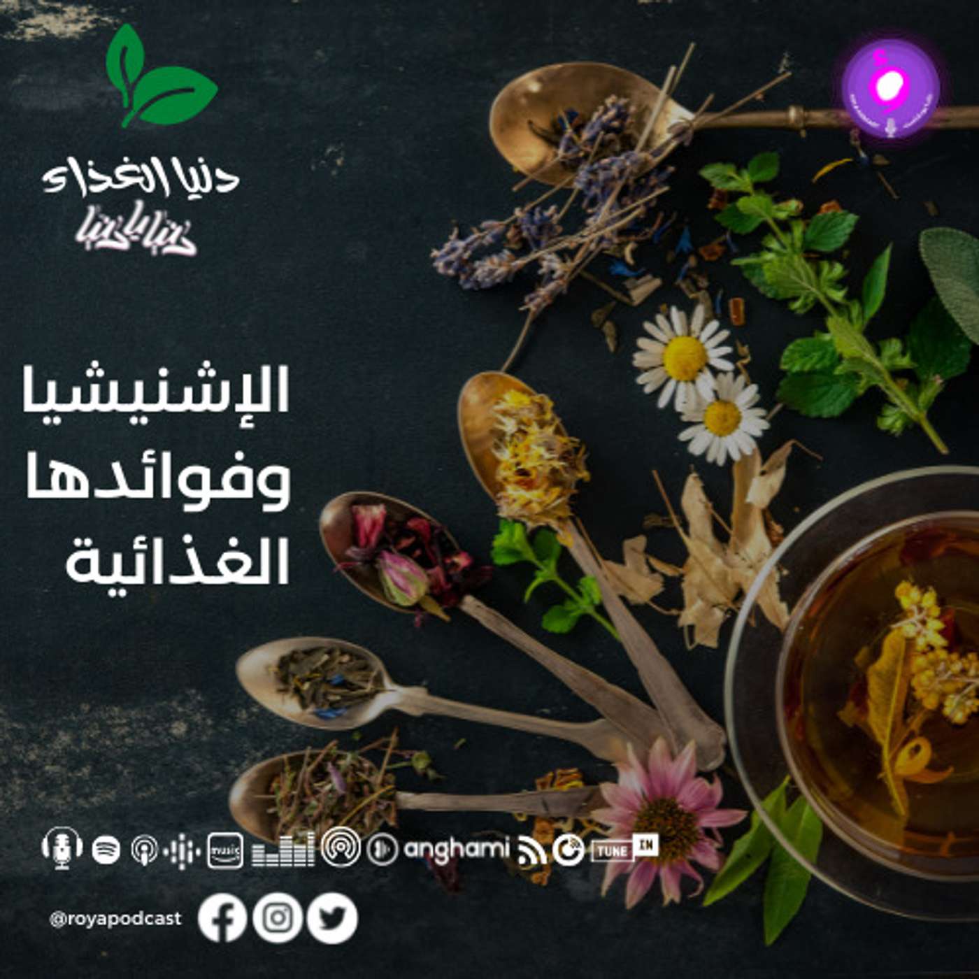 الإشنيشيا وفوائدها الغذائية