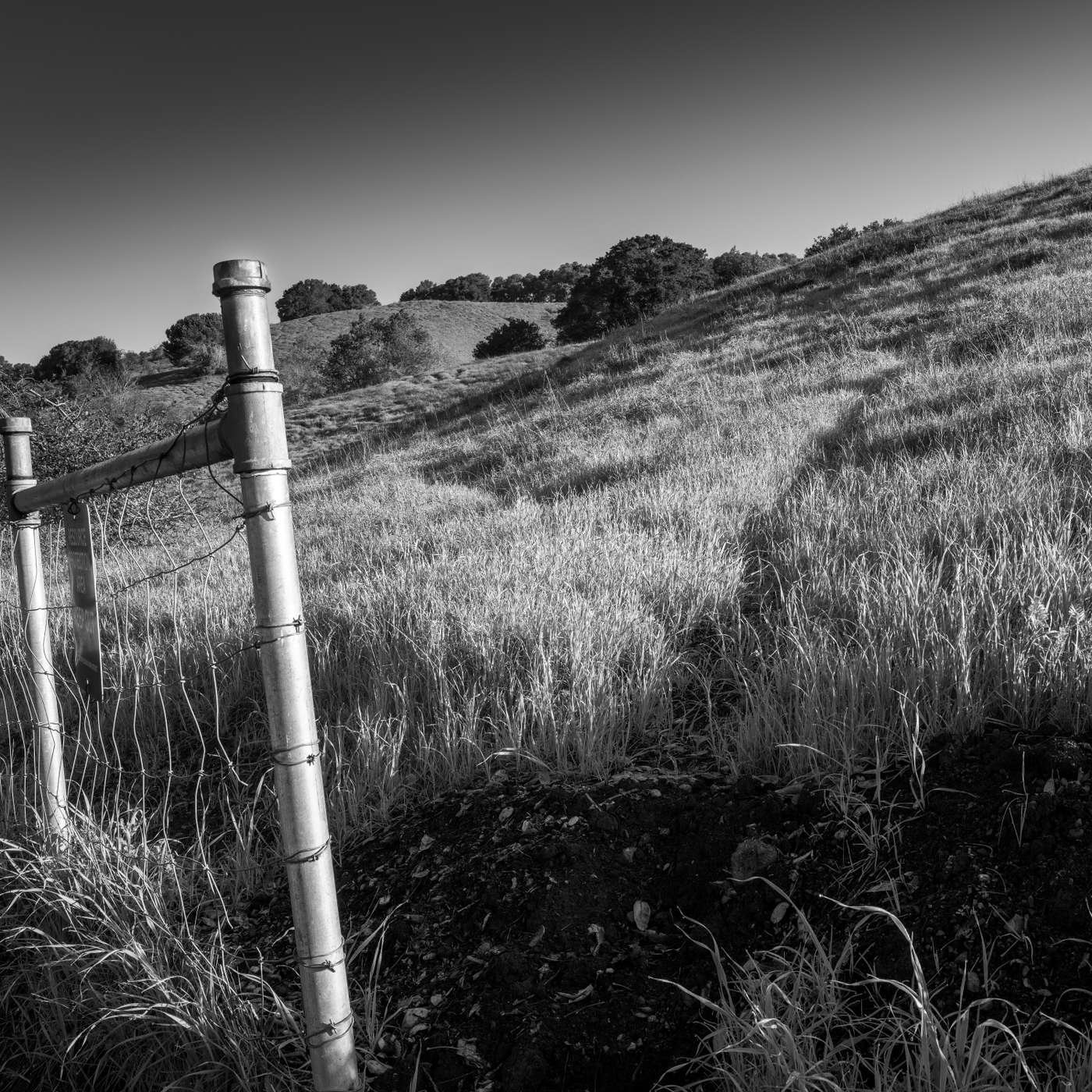 The Nature Photography Podcast