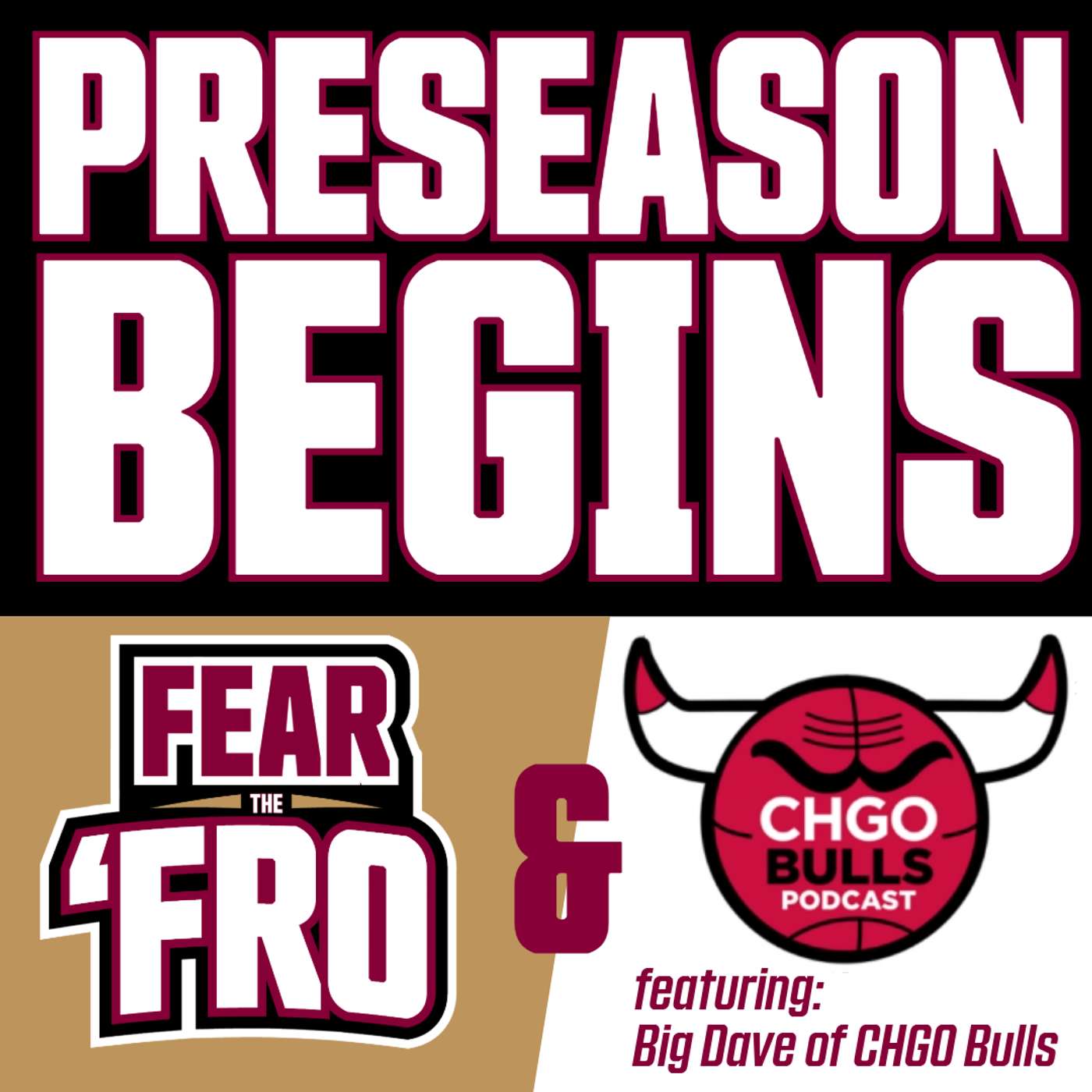 Bring On The Preseason: A Bulls Primer (featuring Big Dave of CHGO Bulls)