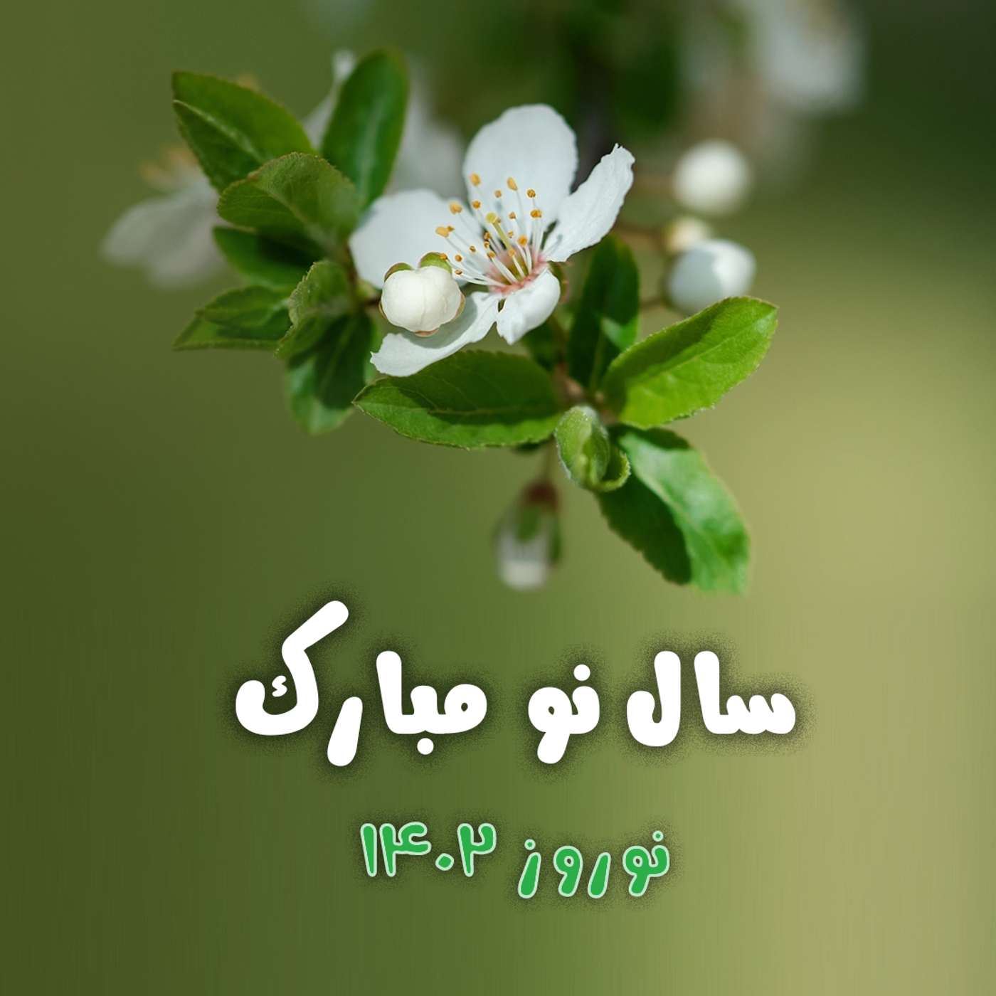پادکست روزانه رادیو پیام دوست ۱ فروردین ۱۴۰۲ episode artwork
