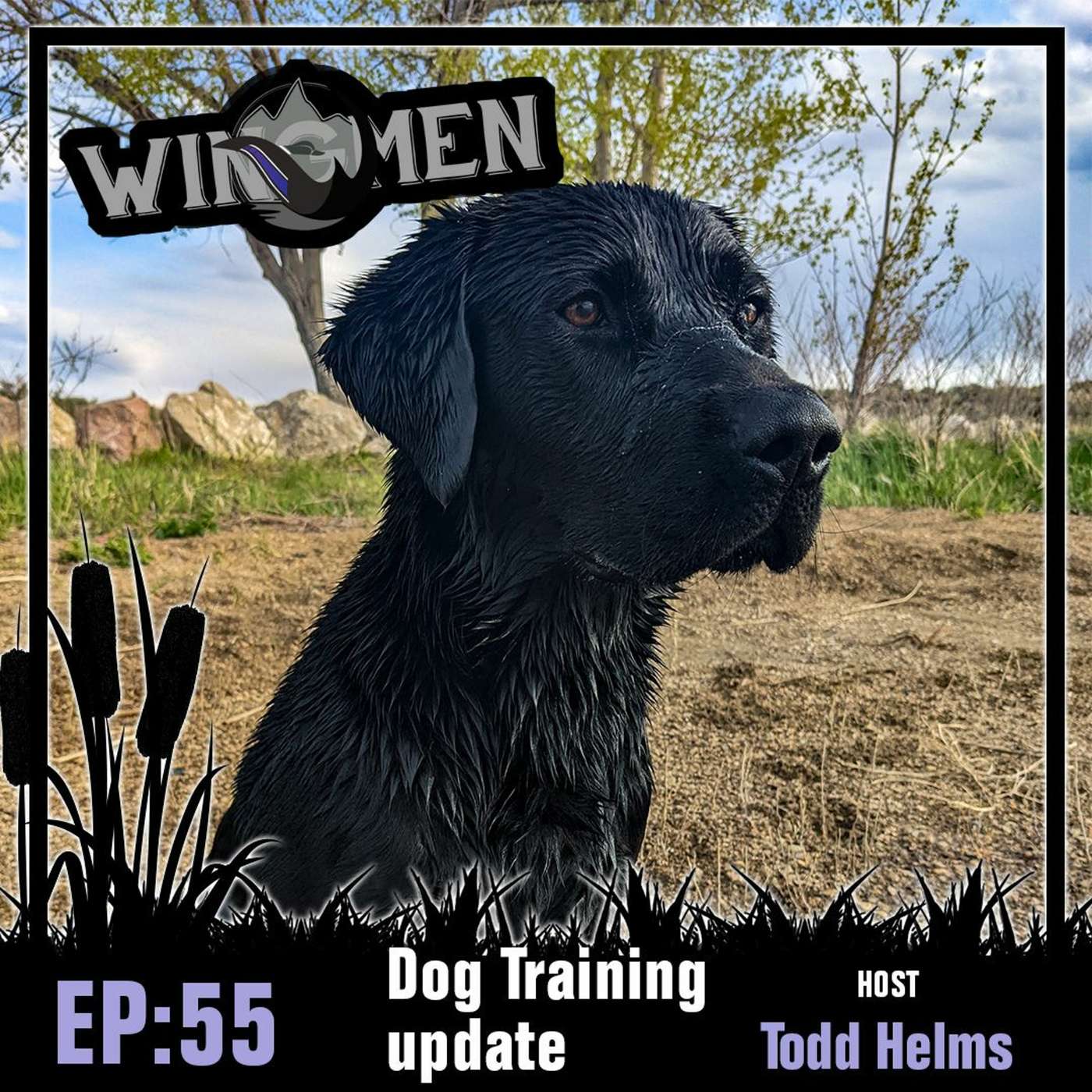Wingmen Podcast EP 55: Dog Training Update episode artwork