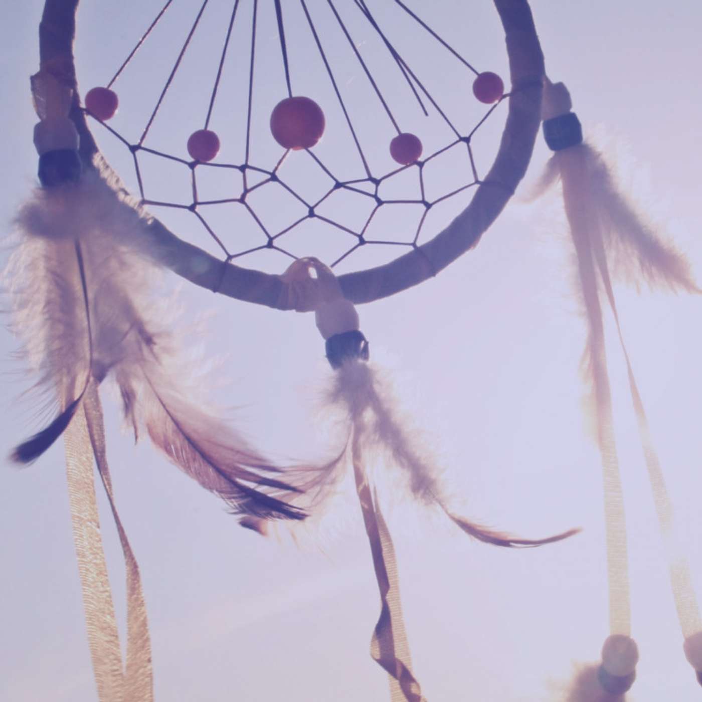 #68: What Happens When Languages Die?