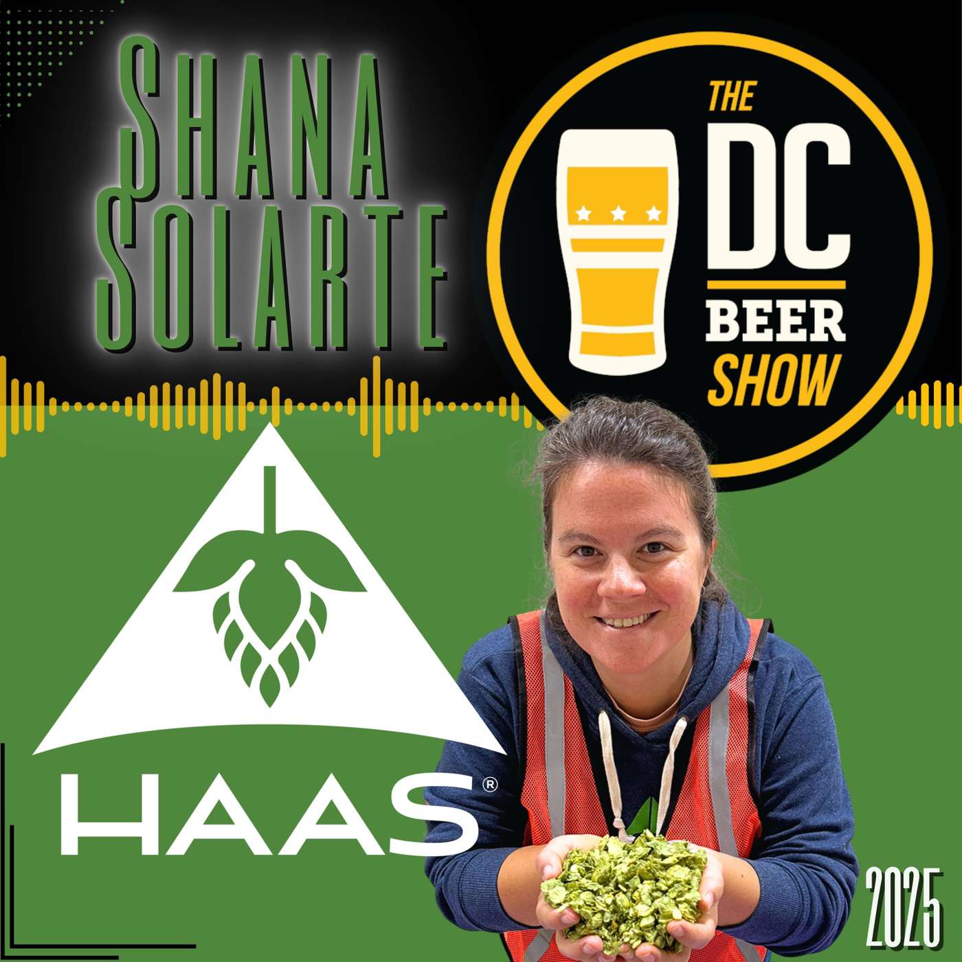 The DC Beer Show