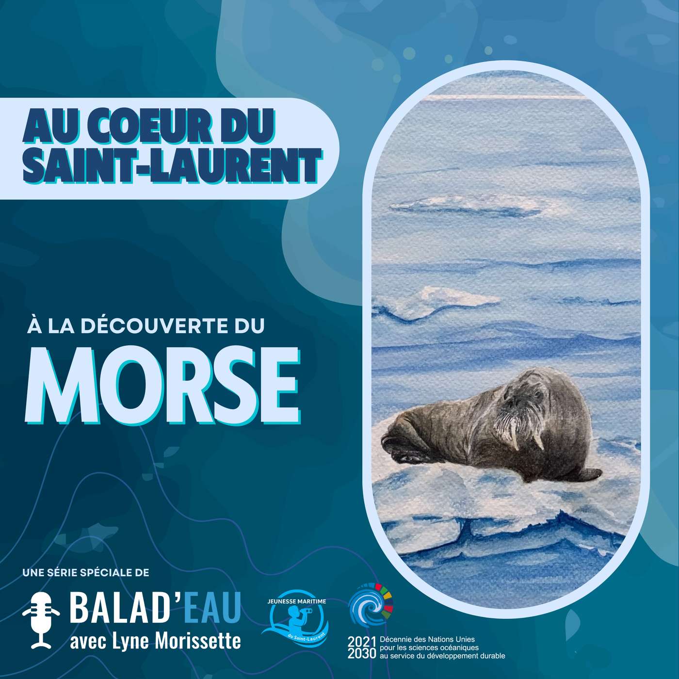 AU COEUR DU SAINT-LAURENT: à la découverte du MORSE