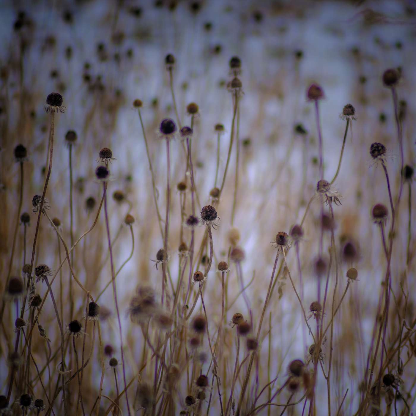 Almost Perfect Isolation