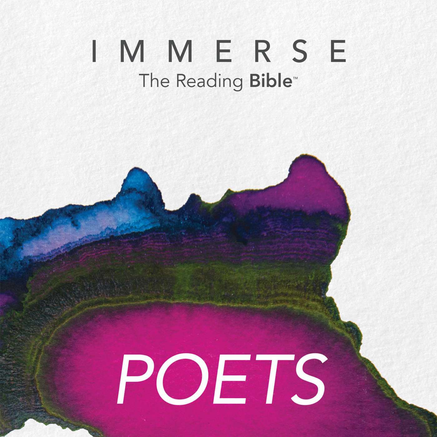 Immerse Poets Day 310 Year 1 Bible Reading
