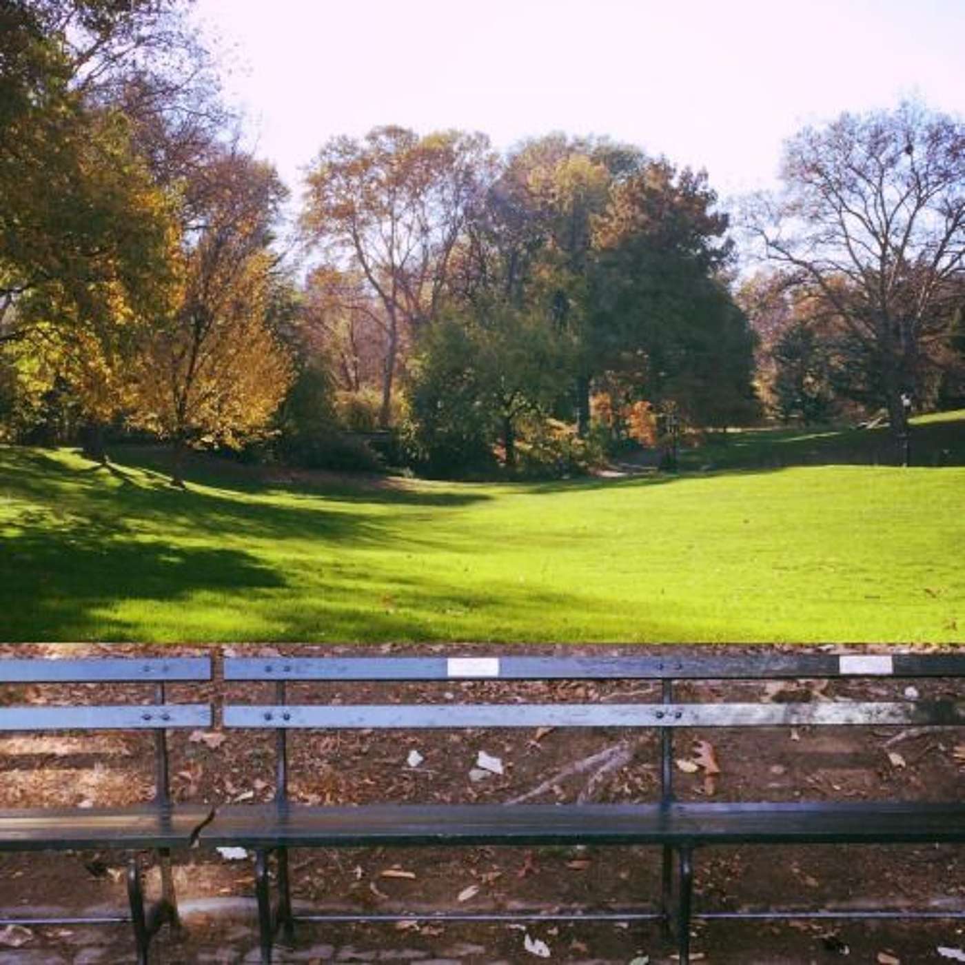 Episode 6: Live from Central Park episode artwork