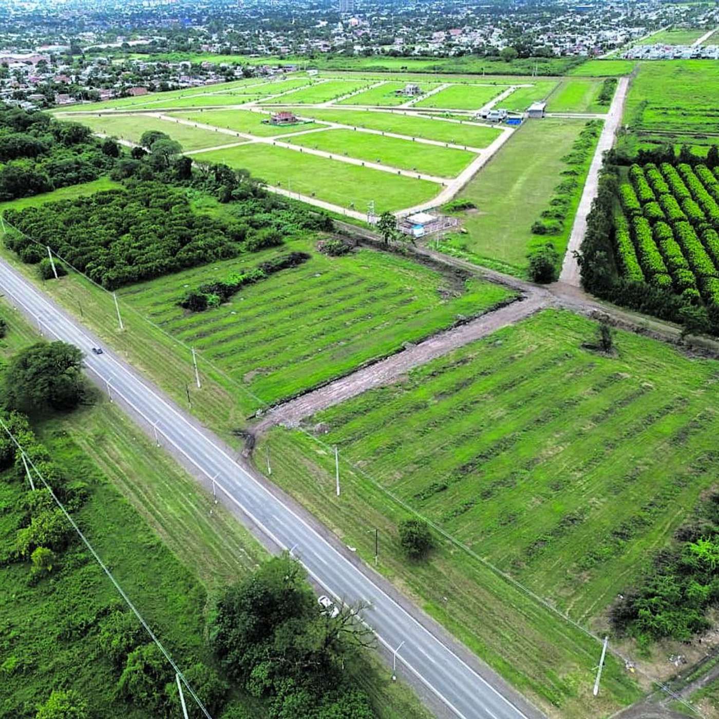 La conexión Fanzolato-Camino del Perú es clave para Yerba Buena