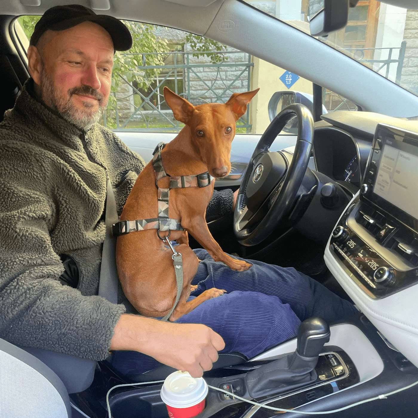 Hommik Rauliga 17.12.25