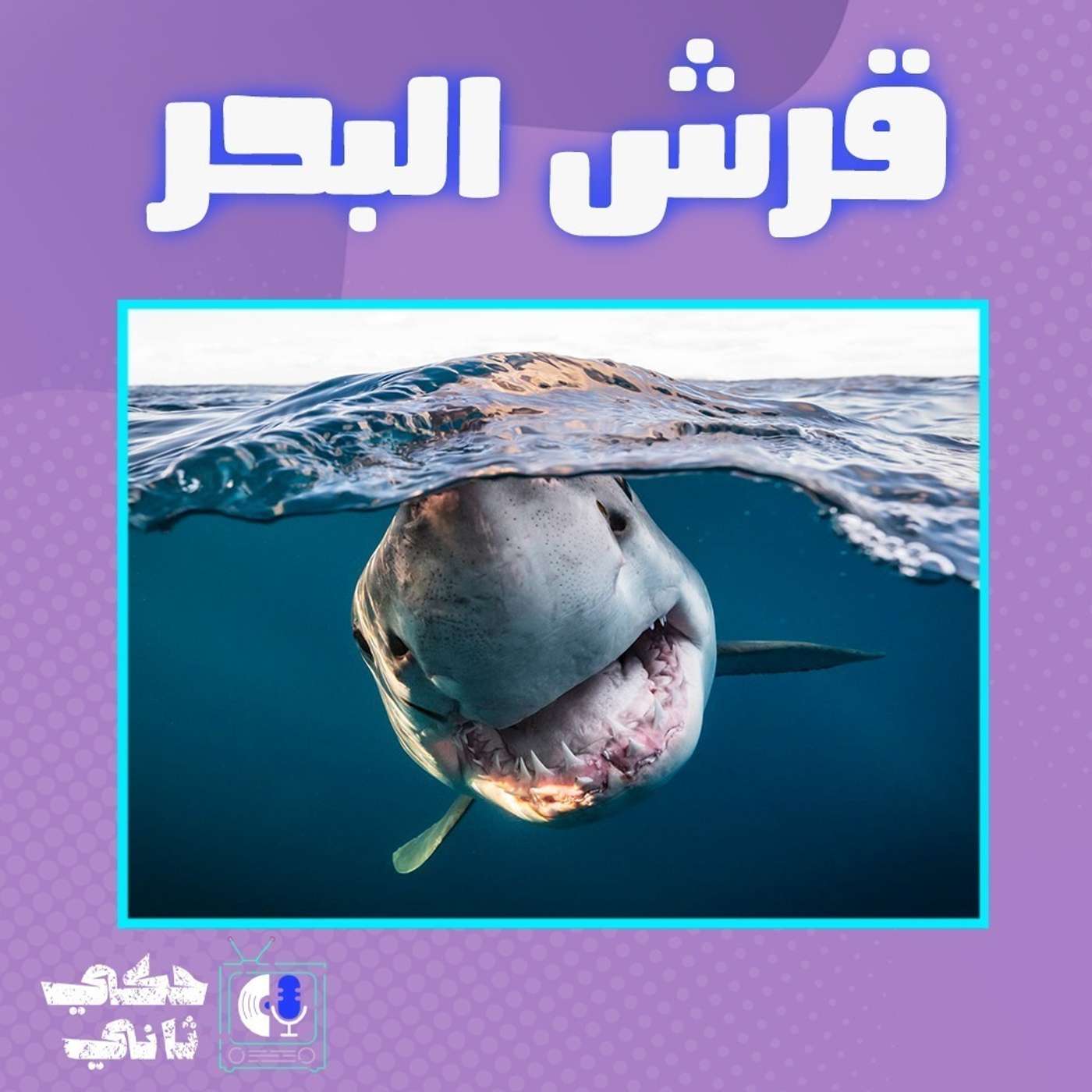 مستجدات القرش episode artwork