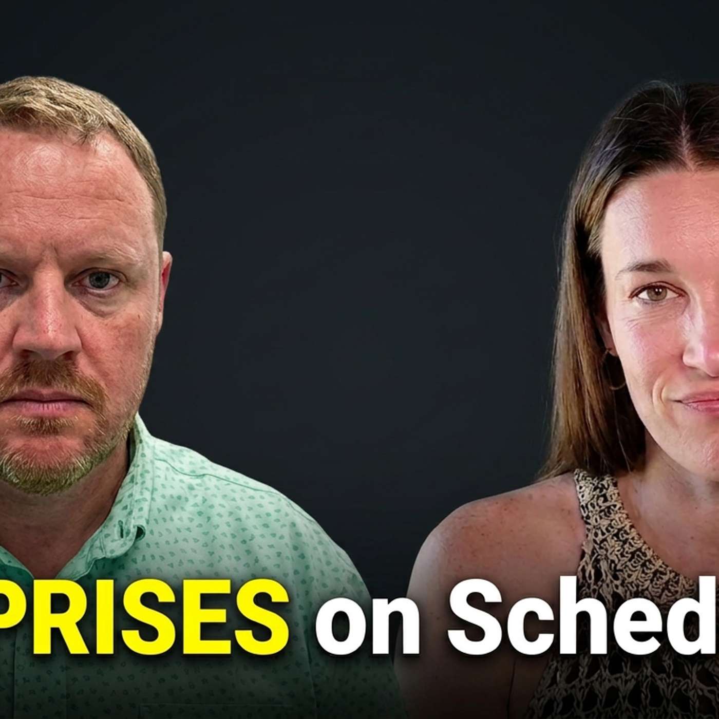Surprises on Schedule C episode artwork