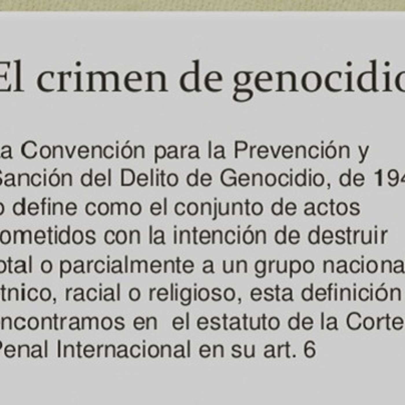 En Palestina no hay genocidio, según la Convención de Ginebra (1ª parte)