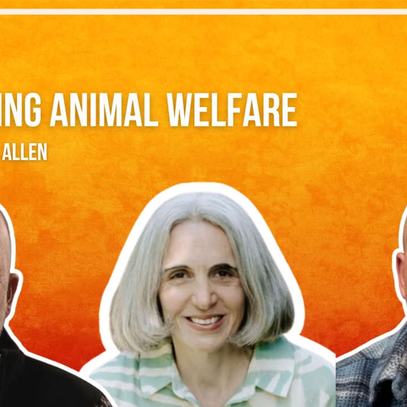 Veterinary Ramblings: Animal Welfare, Contextualized Care & Pet Lighthouse with Guest Caroline Allen