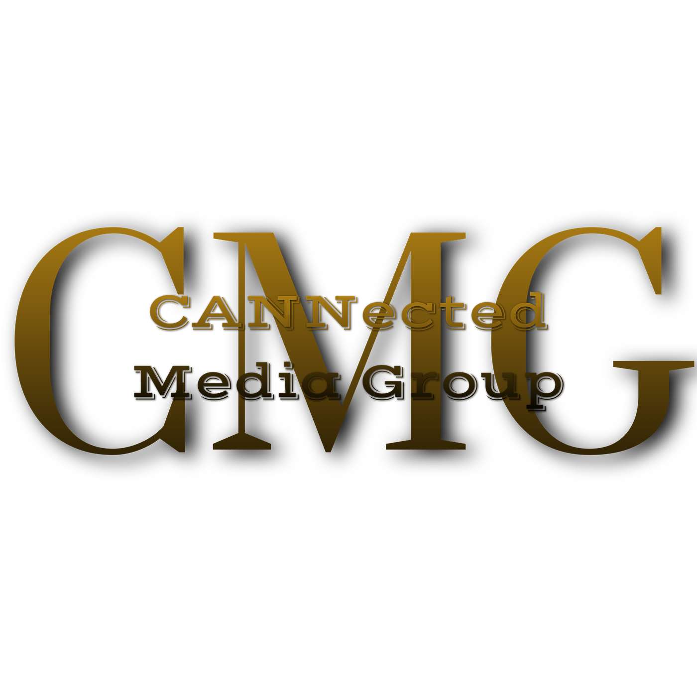 Go With The Flow Podcast cover art