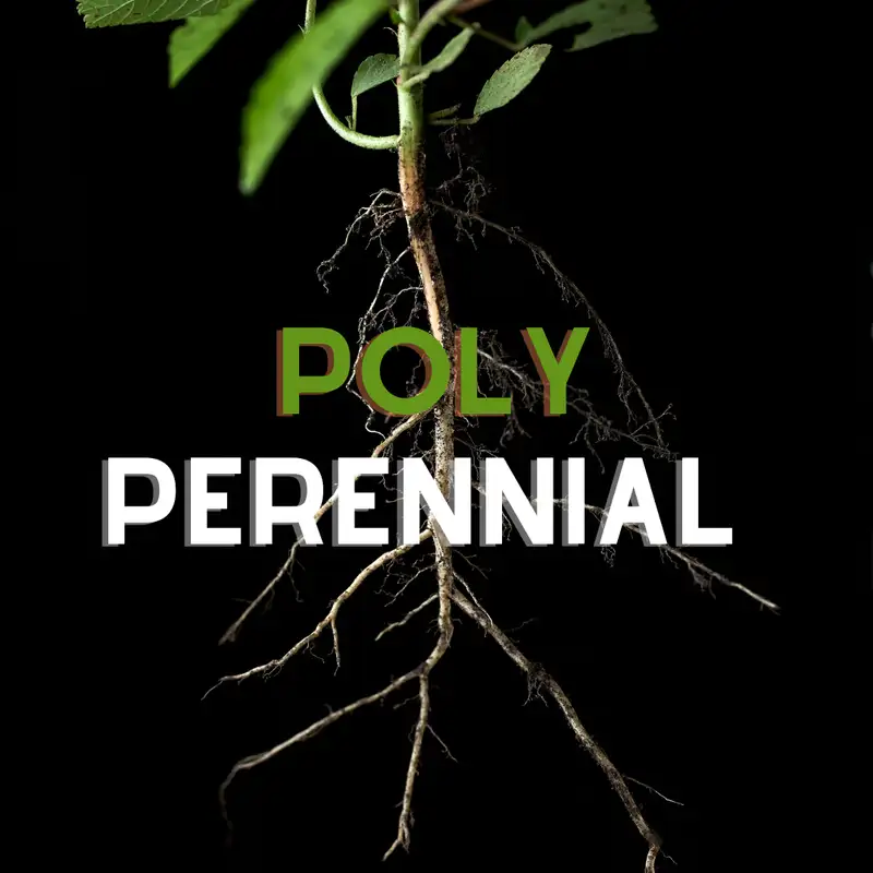 September Resync : Polyperennial Disciples (Juli Cox)