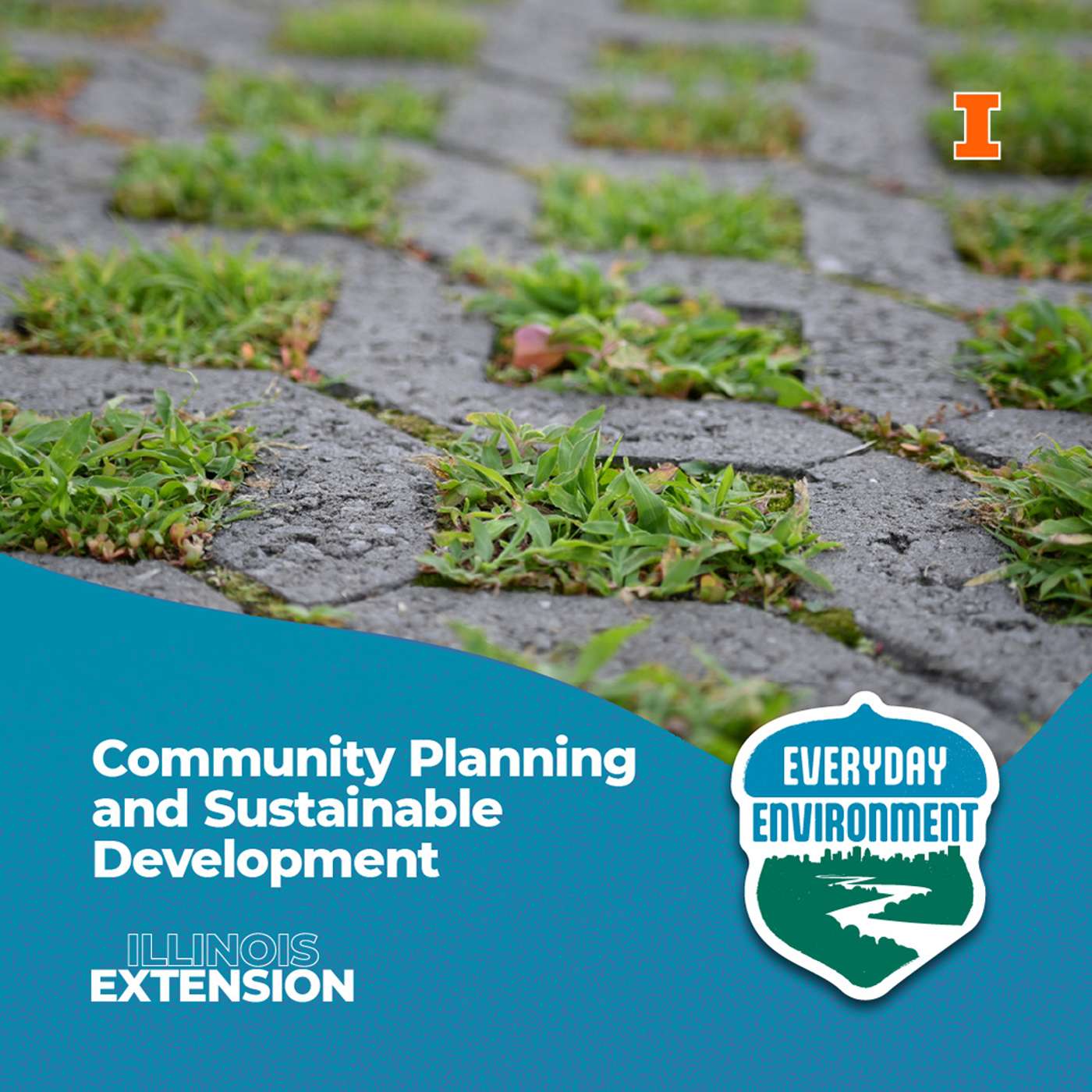 Everyday Environment Podcast