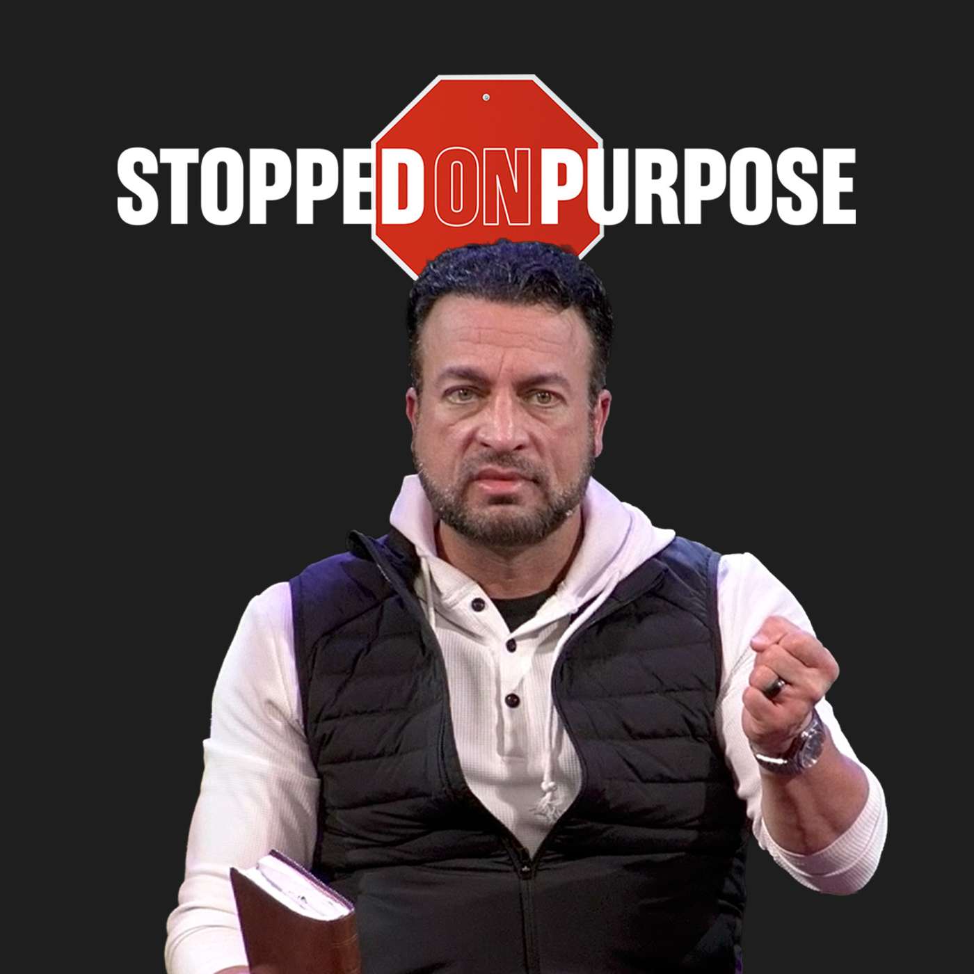Stopped on Purpose [Scott Lehr] episode artwork