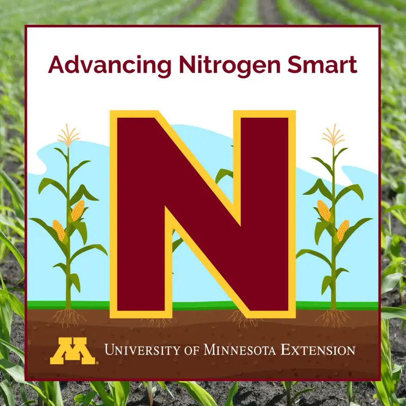 How soil water storage, temperature, and the nitrogen cycle help MN farmers make key decisions