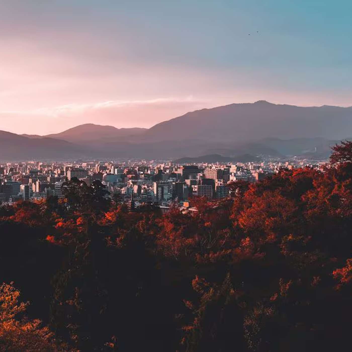 Biden Orders Chinese Crypto Exit, Bitcoin Whales Stir, Metaplanet Adopts Bitcoin-First Policy, Crypto Sovereignty AI Insights, and more...