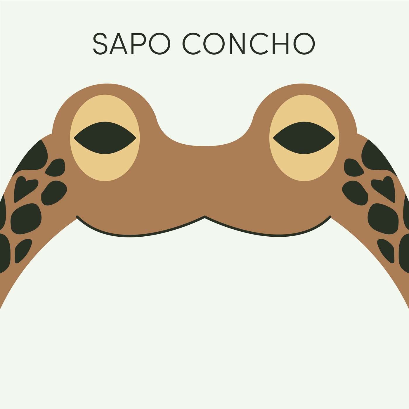 Sapo Concho | Week of February 16th Sapo Concho | Week of February 16th