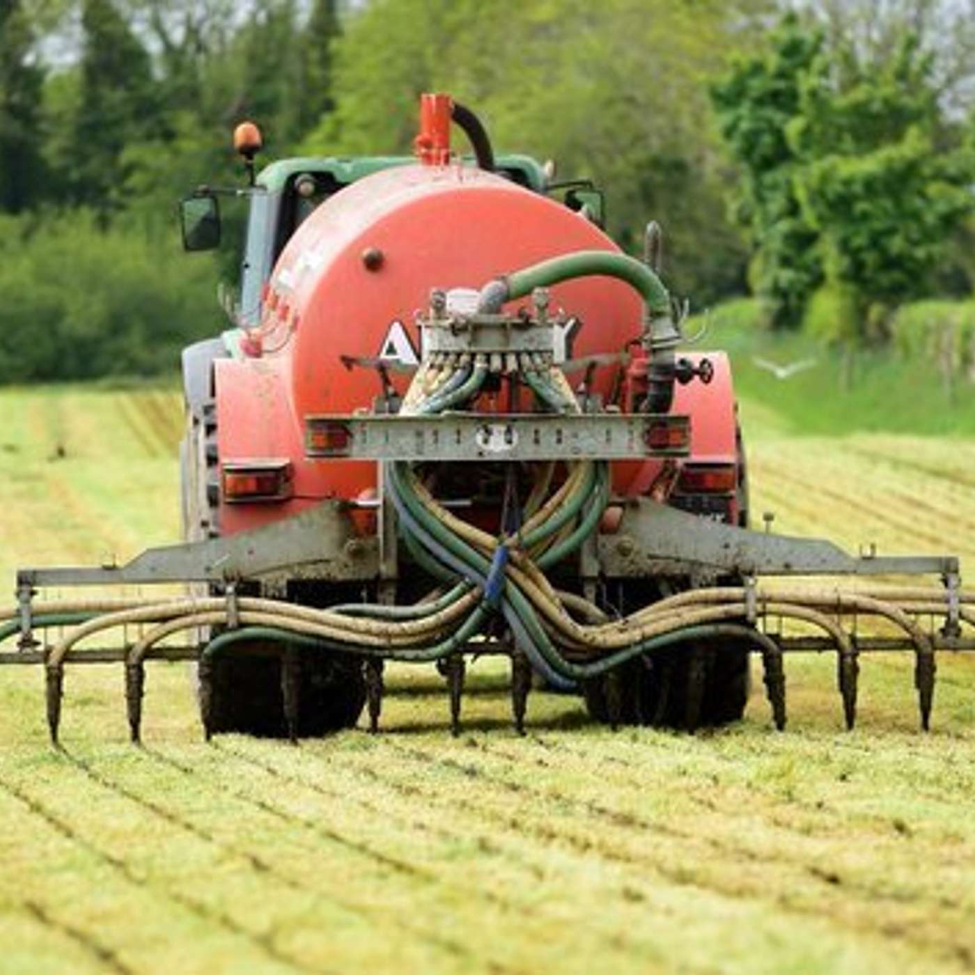 Key Practices for Nitrates Derogation Farmers