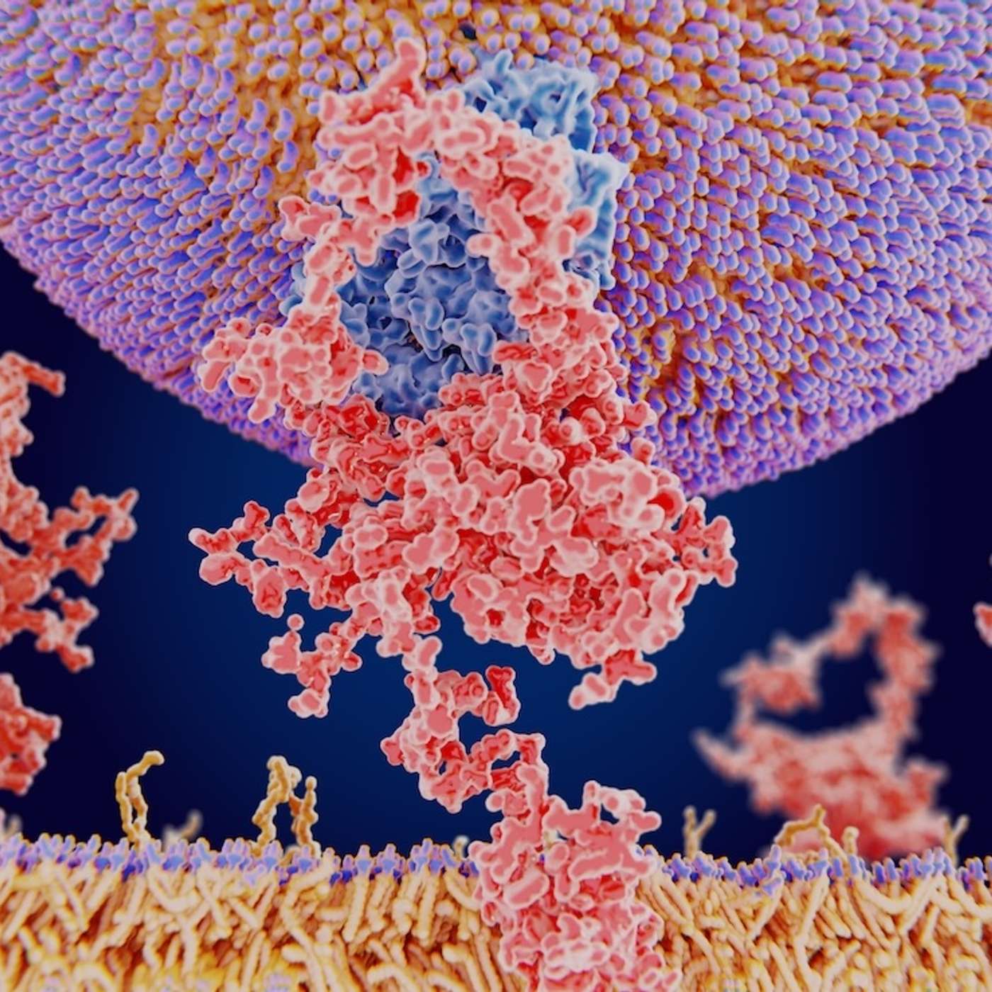 Cholesterol, LDL, and what we learnt from PCSK9 mutations in familial hypercholesterolaemia episode artwork