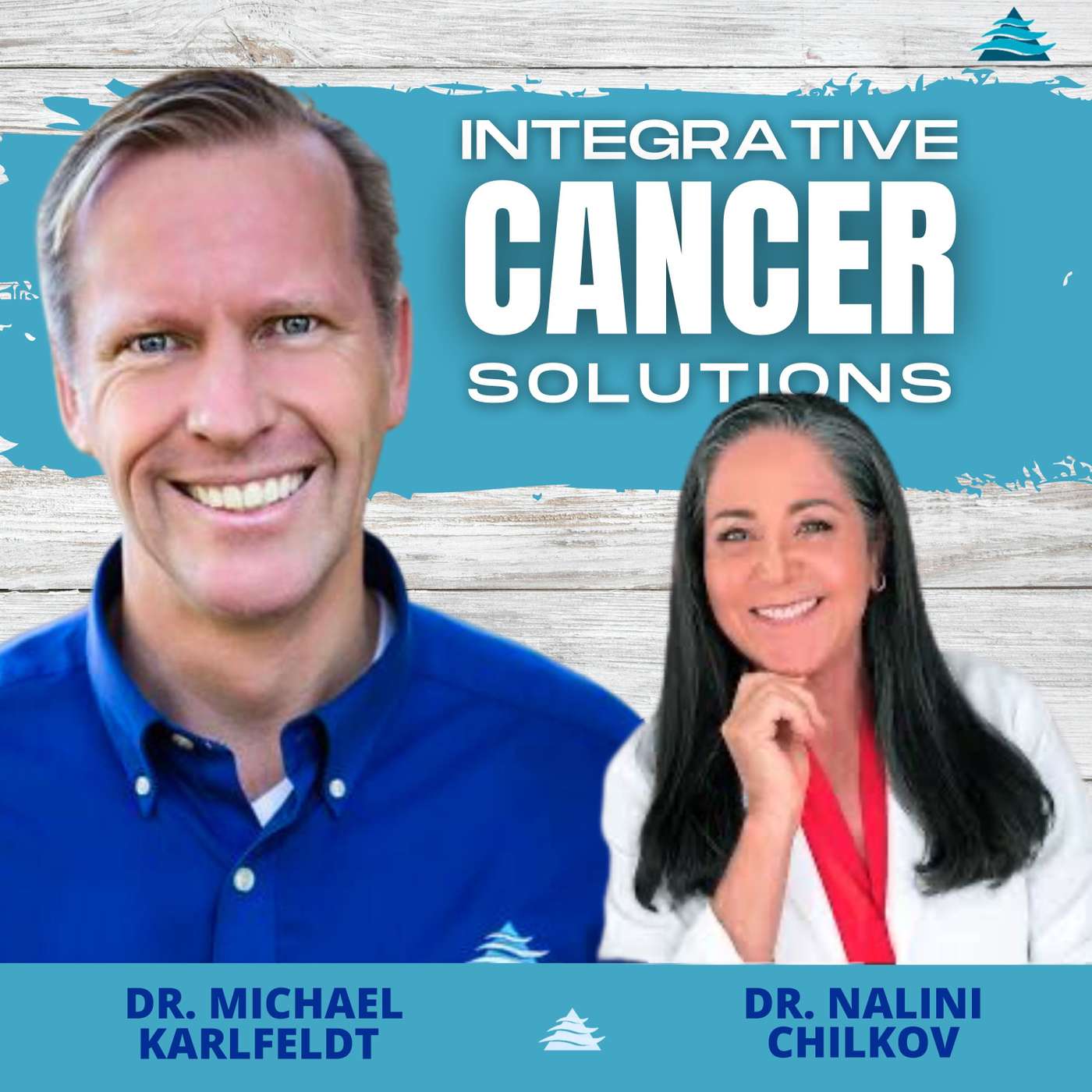 Empowering Your Cancer Journey: Building a Holistic Health Team and Personalized Treatment Plan with Dr. Nalini Chilkov episode artwork