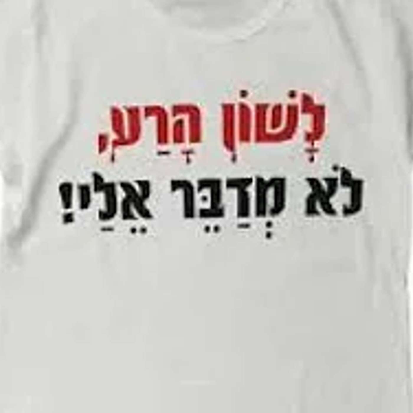 למה מרים נענשה? הרב יעקב ישראל פריד בשיחה על לשון הרע episode artwork