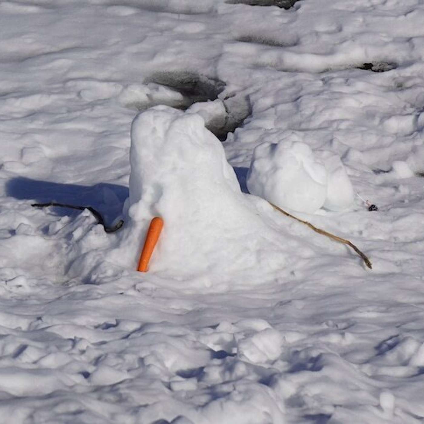 Pi Day Celebrations, Global Ski Resorts in Peril, CAR-T Therapy Fights Brain Cancer, Giant Volcano Discovered on Mars, and more...