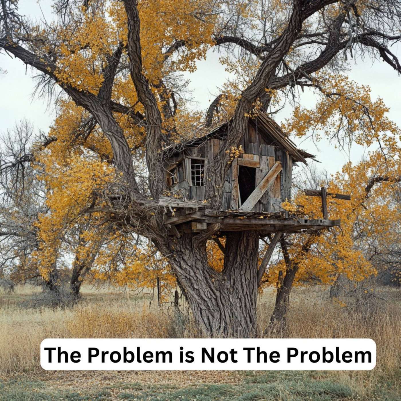 Day 336 - The Problem is Not The Problem episode artwork