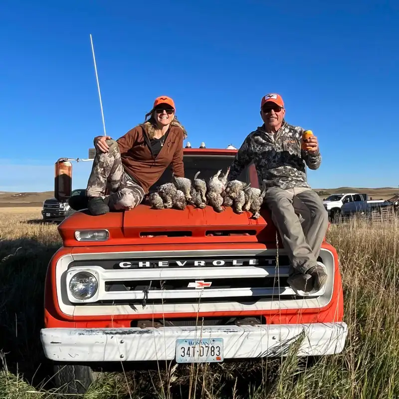 The Foundation of Bird-Dog Training: Preparation, Communication, & Consistency
